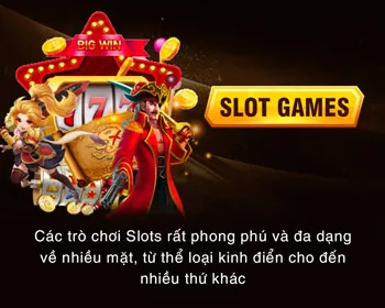 Cấp bậc Vàng TD88