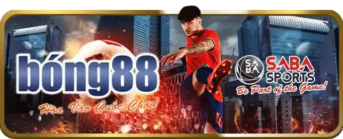 Bảo mật thông tin td88 chính thức